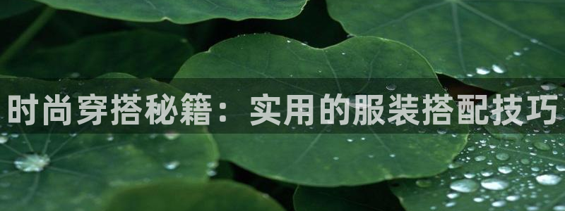 谈球吧真人