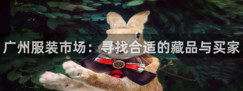 谈球吧app赛事分析