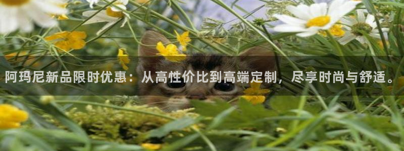 谈球吧黑款不