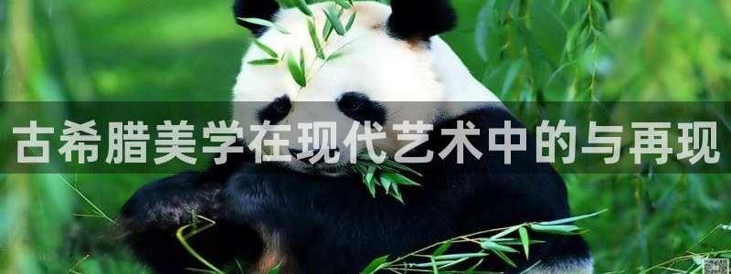 谈球吧体育app下载中心官网