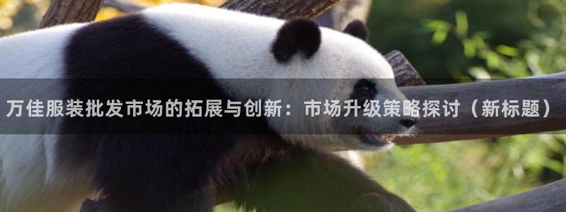 谈球吧官网app下载