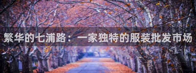 谈球吧官网在线入口免费观看高清版